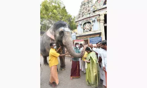 மதுரை மீனாட்சியம்மன் ஆலயத்தில்  தெலங்கானா ஆளுநர் தமிழிசை சுவாமி தரிசனம்
