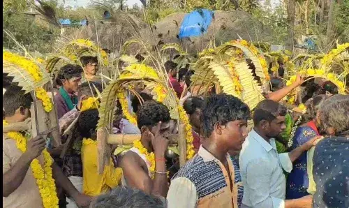 பங்குனி உத்திரம்: முருகன் கோவில்களில் பக்தர்கள் நேர்த்திக்கடன்