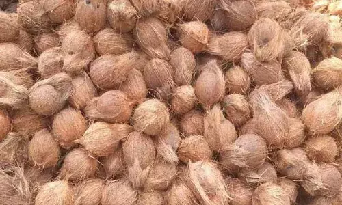 தாளவாடி ஒழுங்குமுறை விற்பனை கூடத்தில் தேங்காய் ஏலம்