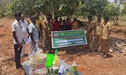 வேளாண் கல்லூரி சார்பில் விவசாயிகள் அதிக மகசூல் பெற செயல் விளக்கம்