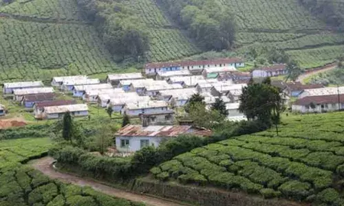 சர்வேத்துறையின் மெத்தனத்தால் ஒரு கோடி ரூபாய் முடக்கம்