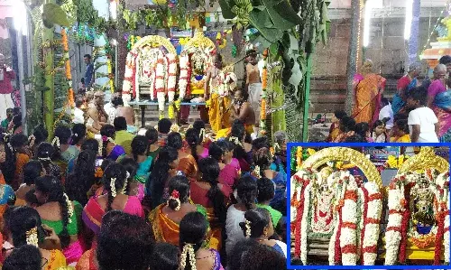 ஆர்பாக்கத்தில் பங்குனி உத்திர திருக்கல்யாணம்: பக்தர்கள் தரிசனம்