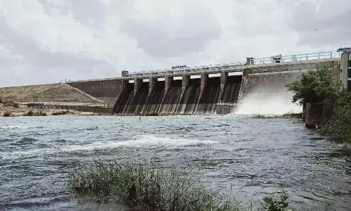கோடை சாகுபடிக்கு வைகை அணையிலிருந்து தண்ணீர் திறக்க விவசாயிகள் கோரிக்கை