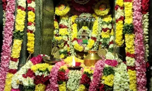 திருப்பாம்புரம் சேஷபுரீஸ்வரர் கோவிலில் ராகு - கேது பெயர்ச்சி விழா
