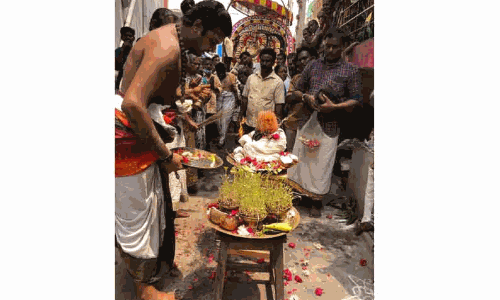 அருணாசலேஸ்வரர் கோவில் தாமரை குளக்கரையில் பாலிகை விடும் நிகழ்ச்சி