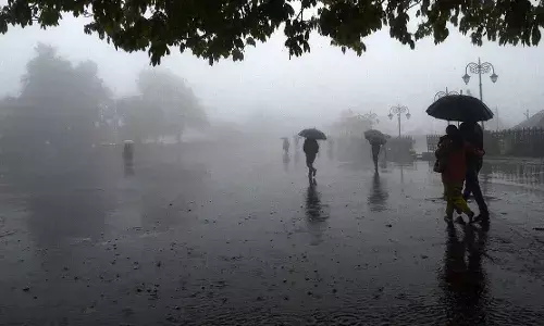 தாராபுரம், அவினாசியில் மழை