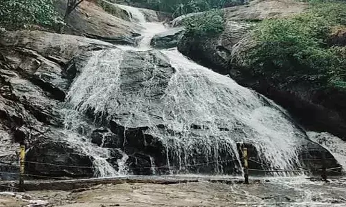மழையால் குரங்கு நீர்வீழ்ச்சியில் ஆர்ப்பரித்து கொட்டும் தண்ணீர்