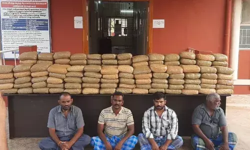 திருமங்கலம் அருகே 340 கிலோ கஞ்சா பறிமுதல்: 4 பேர் கைது திருமங்கலம் அருகே 340 கிலோ கஞ்சா பறிமுதல்: 4 பேர் கைது