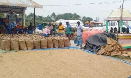 தீவனூரில் கோவில், நூலகத்தில் இயங்கும் நேரடி நெல் கொள்முதல் நிலையம்