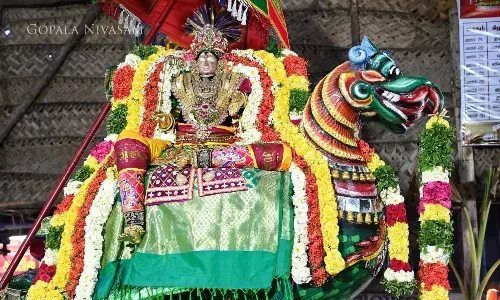 பங்குனி திருவிழா: கண்டபேரண்ட பஷி வாகனத்தில் ராஜகோபாலசாமி தரிசனம்