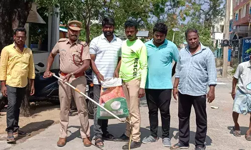 புதுக்கோட்டையில் வீடுகளுக்குள் புகுந்து விடும் பாம்புகளால் மக்கள் அவதி