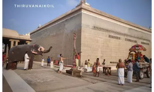 திருவானைக்காவல் அகிலாண்டேஸ்வரி கோவிலில் எட்டு திக்கு கொடியேற்றம்