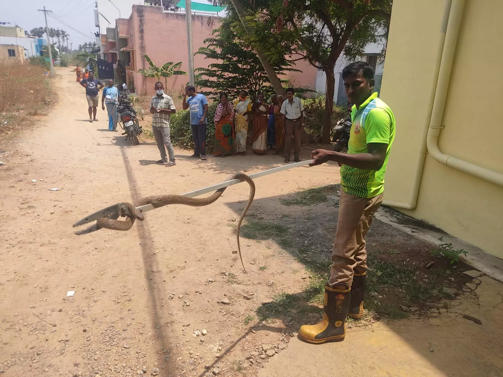 பவானி அருகே அடுக்குமாடி குடியிருப்புக்குள் புகுந்த பாம்பு பவானி அருகே அடுக்குமாடி குடியிருப்புக்குள் புகுந்த பாம்பு