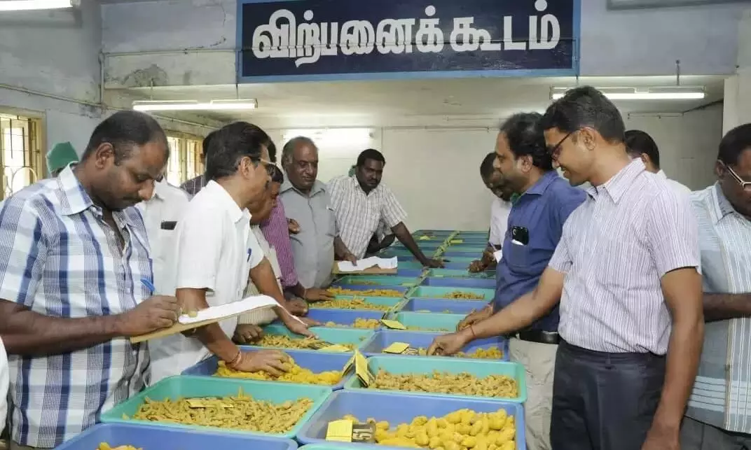 ஈரோடு மஞ்சள் மார்க்கெட் இன்றைய விலை நிலவரம் ஈரோடு மஞ்சள் மார்க்கெட் இன்றைய விலை நிலவரம்