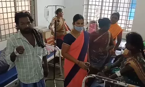 100 நாள் பணியில் ஈடுபட்டிருந்த 49 பேர்  தேனீக்கள் கொட்டியதில் காயம்