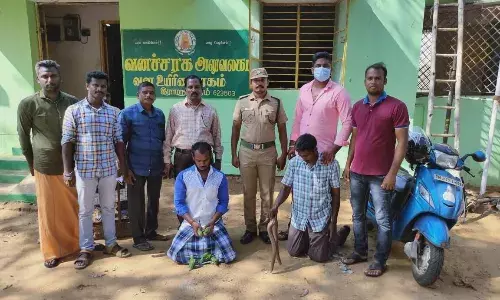 இராமநாதபுரம் அருகே மண்ணுளி பாம்பு கடத்த முயன்ற இருவர் கைது