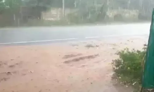 பட்டுக்கோட்டையில் பரவலாக மழை பட்டுக்கோட்டையில் பரவலாக மழை