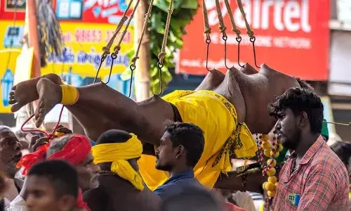 மதுரை வீரமகாகாளியம்மன் விழாவில் பறவைக்காவடி எடுத்து பக்தர்கள் வழிபாடு