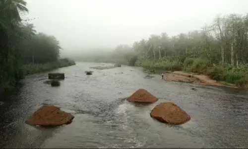 தேனி மாவட்டத்தில் பலத்த மழை: வைகையில் மீண்டும் நீர்வரத்து தேனி மாவட்டத்தில் பலத்த மழை: வைகையில் மீண்டும் நீர்வரத்து