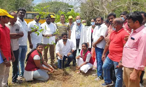 தாம்பரம் சானிடோரியம் நெஞ்சக மருத்துவமனை வளாகத்தில் மரக்கன்று நடும்பணி