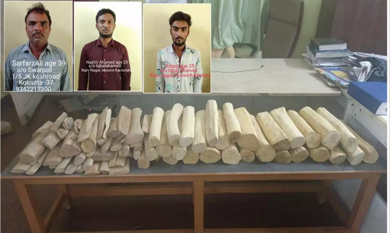 ஆந்திராவில் இருந்து சென்னை கடைக்கு வந்த சந்தன கட்டைகள்: 3 பேர் கைது ஆந்திராவில் இருந்து சென்னை கடைக்கு வந்த சந்தன கட்டைகள்: 3 பேர் கைது