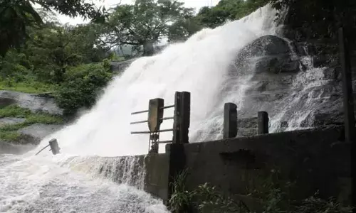 மேகமலையில் தொடர் மழை: சுருளி, சின்னசுருளியில் வெள்ளம்
