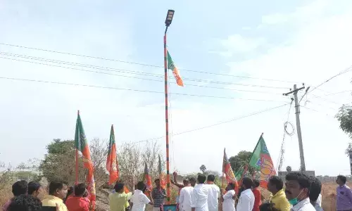 கொடி கம்பத்தில் சோலார் விளக்கு: கட்சியை வளர்க்க பாஜக புது டெக்னிக்?