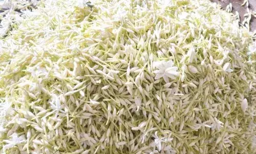 சத்தியமங்கலம் தினசரி பூ மார்க்கெட் இன்றைய (13ந் தேதி) விலை நிலவரம்