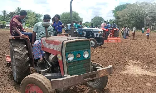 நல்லேர் பூட்டி விளைநிலத்தை உழுது வழிபட்டு புத்தாண்டை வரவேற்ற விவசாயிகள்