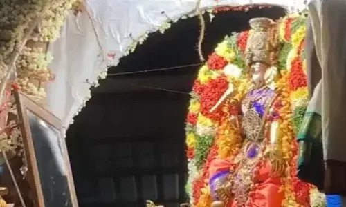 மதுரை சித்திரை திருவிழாவில் மீனாட்சியம்மன் பூப்பல்லக்கில் பவனி