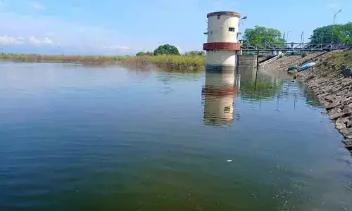 பிளவக்கல் பெரியாறு அணை திறப்பு: விவசாயிகள் மகிழ்ச்சி