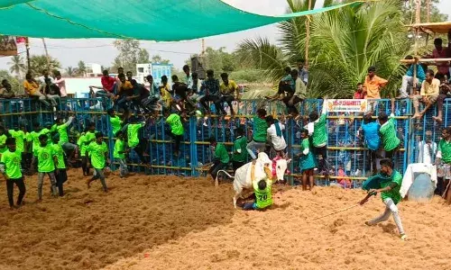 நெம்மக்கோட்டை ஜல்லிக்கட்டு போட்டி: வாடிவாசல் முன்பு துணியால் மேற்கூரை