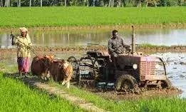 வேளாண் பொறியியல் துறை மூலம் உழவுப்பணி: விவசாயிகள் எதிர்பார்ப்பு