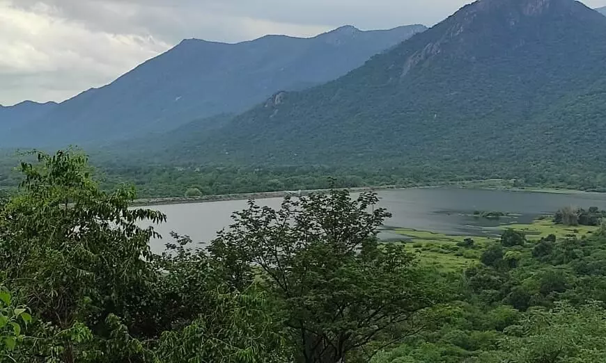 அந்தியூர் வரட்டுப்பள்ளம் அணை நீர்மட்டம் உயர்வு: விவசாயிகள் மகிழ்ச்சி அந்தியூர் வரட்டுப்பள்ளம் அணை நீர்மட்டம் உயர்வு: விவசாயிகள் மகிழ்ச்சி