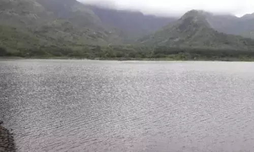தென்காசி மாவட்ட அணைகளில் இன்றைய நீர்மட்டம்.