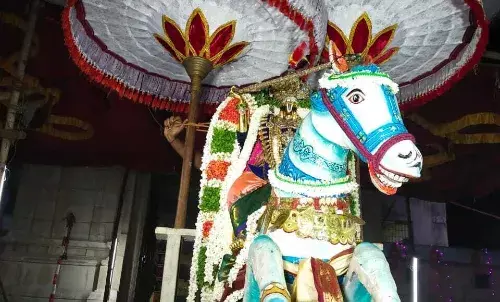 நெல்லை வரதராஜ பெருமாள் கோவிலில்  குதிரை வாகனத்தில் சுவாமி வீதி உலா