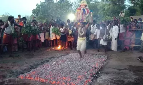 பண்ருட்டி திரௌபதி அம்மன் கோவிலில் தீமிதி திருவிழா