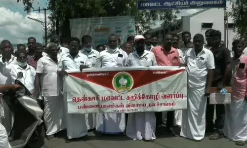 தென்காசி ஆட்சியர் அலுவலகம் முன்பு கறிக்கோழி வளர்ப்பு விவசாயிகள் ஆர்ப்பாட்டம் தென்காசி ஆட்சியர் அலுவலகம் முன்பு கறிக்கோழி வளர்ப்பு விவசாயிகள் ஆர்ப்பாட்டம்