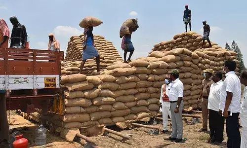 காணை ஊராட்சி திறந்தவெளி நெல் சேமிப்பு மையத்தில் கலெக்டர் ஆய்வு