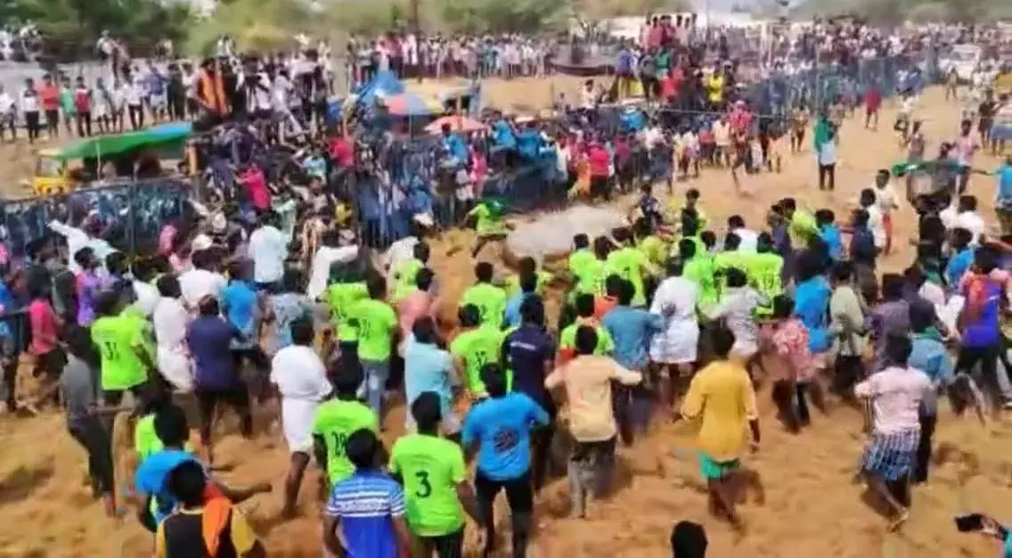 அமைச்சர் விஜயபாஸ்கர் காளையை பிடித்த வீரருக்கு அடி விழுந்ததால் பரபரப்பு