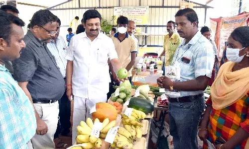 நாமக்கல்லில் உழவர் திருவிழா: எம்.பி பங்கேற்பு