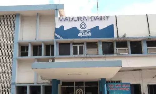 மதுரை ஆவினில் 6 வகை பால் பொருள்கள் உற்பத்தி நிறுத்தம்: பொதுமக்கள் அவதி