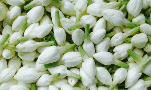சத்தியமங்கலம் தினசரி பூ மார்க்கெட் இன்றைய (27.04.2022) நிலவரம்