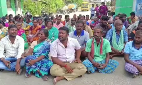 பெரம்பலூர் நகராட்சி அலுவலகம் முன் ஒப்பந்த தூய்மை பணியாளர்கள் தர்ணா பெரம்பலூர் நகராட்சி அலுவலகம் முன் ஒப்பந்த தூய்மை பணியாளர்கள் தர்ணா