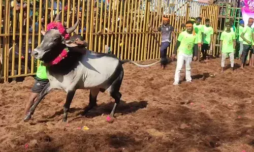 ஜெயங்கொண்டம் அருகே விழப்பள்ளம் கிராம ஜல்லிக்கட்டில் சீறிப்பாய்ந்த காளைகள்