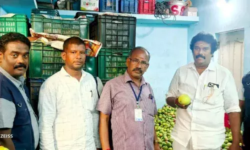 திருச்சியில் செயற்கை முறையில் பழுக்க வைக்கப்பட்ட 4,500 கிலோ மாம்பழம் பறிமுதல்