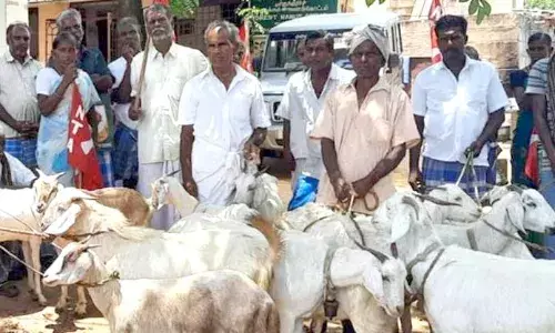 கால்நடை மேய்ச்சலுக்கு தடை விதிக்கப்பட்டதை  கண்டித்து மலைவாழ் மக்கள் ஆர்ப்பாட்டம் கால்நடை மேய்ச்சலுக்கு தடை விதிக்கப்பட்டதை  கண்டித்து மலைவாழ் மக்கள் ஆர்ப்பாட்டம்