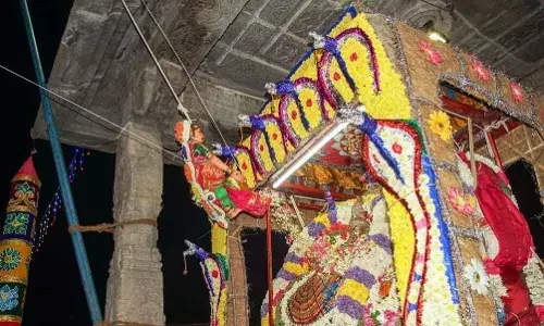 திருவண்ணாமலை அண்ணாமலையார் கோவிலில் வசந்த உற்சவம் திருவண்ணாமலை அண்ணாமலையார் கோவிலில் வசந்த உற்சவம்