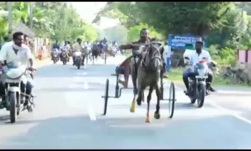 பட்டுக்கோட்டையில் ரேக்ளா ரேஸ்: குதிரை, மாட்டு வண்டிகள் பங்கேற்பு பட்டுக்கோட்டையில் ரேக்ளா ரேஸ்: குதிரை, மாட்டு வண்டிகள் பங்கேற்பு