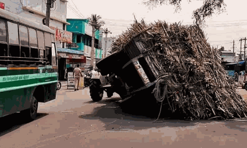 வந்தவாசி: டயர் வெடித்ததால் கரும்பு பாரத்துடன் டிராக்டர் கவிழ்ந்து விபத்து